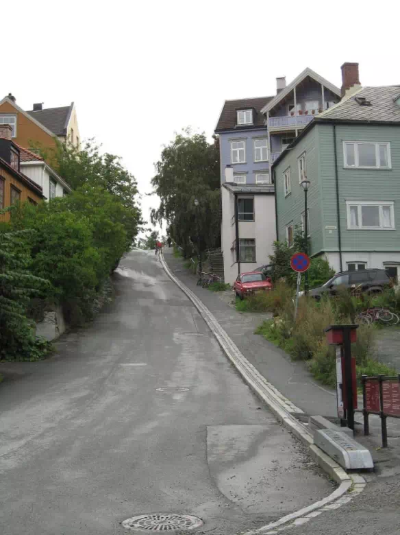 84025162b6081cecf0b9aec8de05b688_1629427776_2634.webp