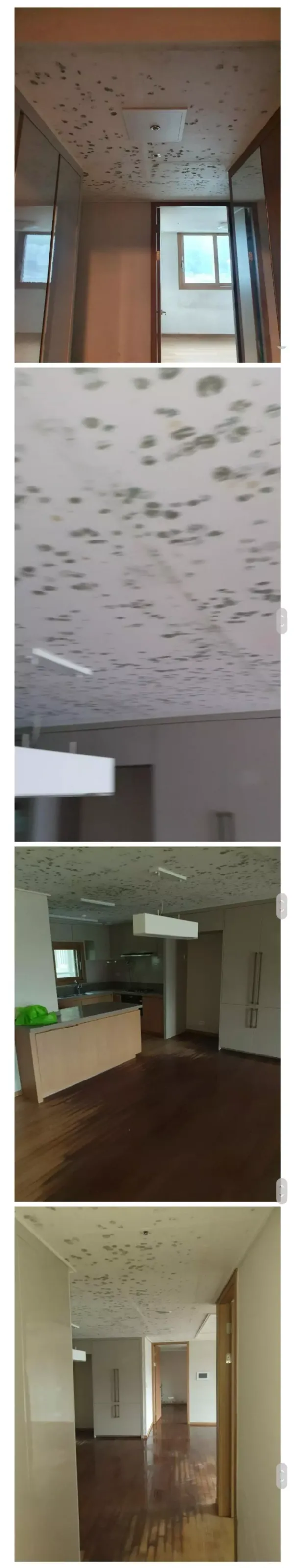 06d3ebec3a5e3f140484bd8a34a104d9_1630055236_6403.webp