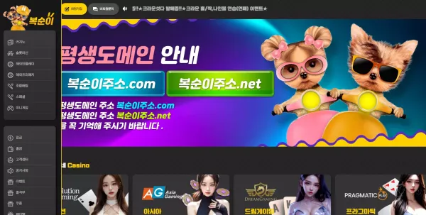 복순이 먹튀