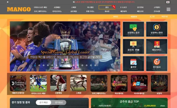 망고 먹튀