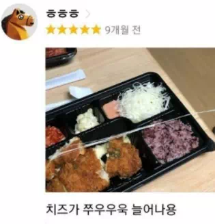 별 다섯개 돈까스 맛집