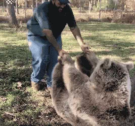 어릴 때 사육사를 만나 곰