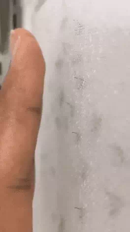 옷을 입어도 모기한테 물리는 이유