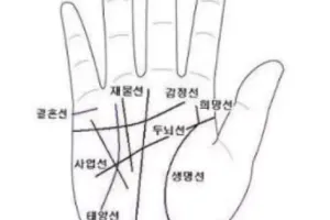 중요한 손금