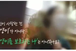 정신과 의사에게 팩폭 당한 캣맘