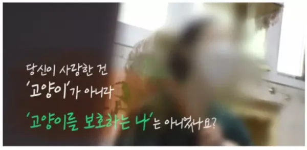 정신과 의사에게 팩폭 당한 캣맘