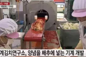 양념을 배추에 넣는 기계 개발한 세계김치연구소