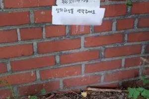 캣맘과 설전