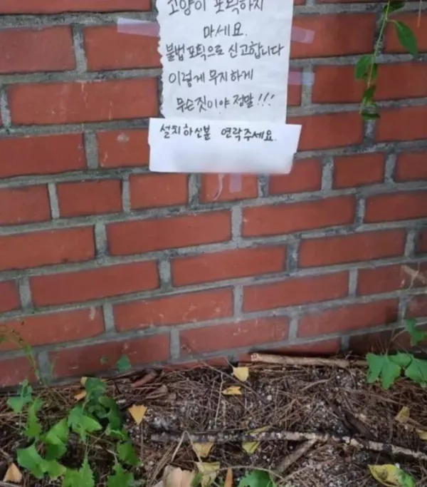 캣맘과 설전