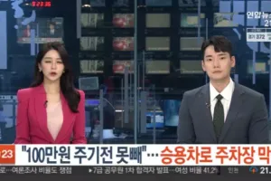 주차장 입구막는 문신충