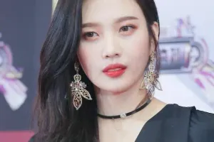 조이 닮은꼴 배우