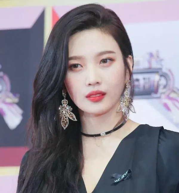 조이 닮은꼴 배우