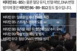 연령대별 증상별 먹어야 되는 영양제