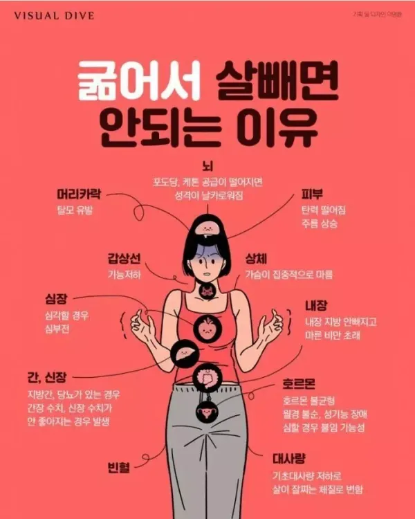 다이어트 하면서 굶으면 안되는 이유