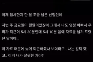 칼퇴하고 털린 신입 사원