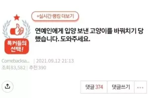 고양이 입양한 연예인에게 생긴 일..