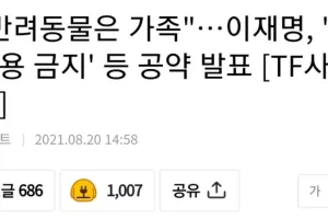 "개 식용 금지 " 공약 발표한 이재명