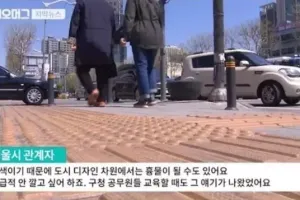 시각 장애인에 대한 대한민국 시각