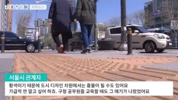 시각 장애인에 대한 대한민국 시각