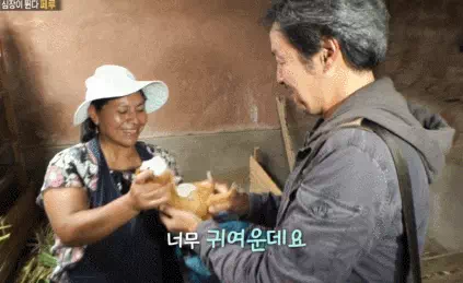 반전주의