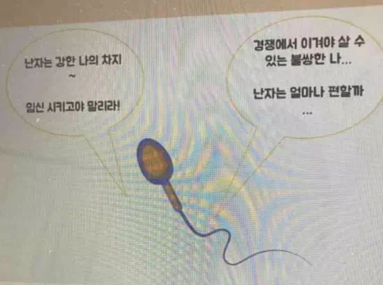 요즘 여고의 성교육