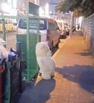 곰인형이 억울한 이유