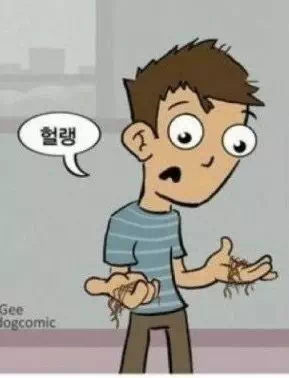 대머리 수용 5단계