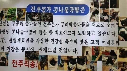 어느 코아물 국밥집의 고양이 소개ㅋㅋㅋㅋ