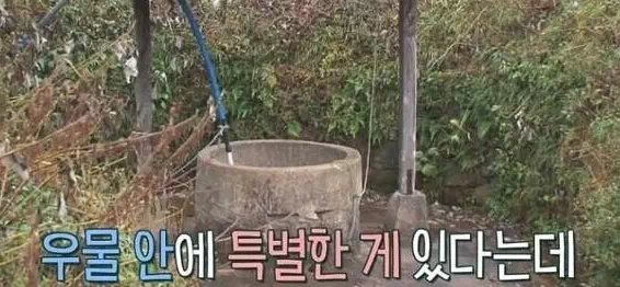 우물 안에 특별한 게 있다는데