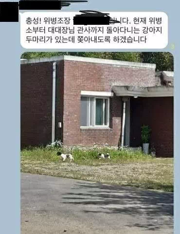 위병소 공포 상황이라고 하는데