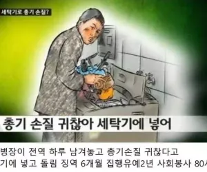 전역 하루 앞두고 사고친 정신나간 말년병장