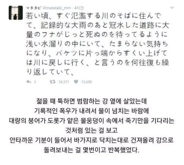 붕어가 은혜 갚으러 온 건가