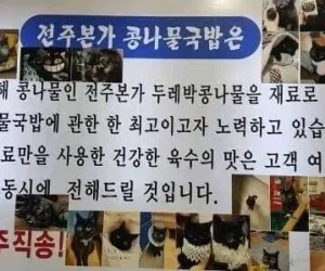 어느 코아물 국밥집의 고양이 소개ㅋㅋㅋㅋ