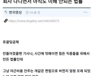 회사 생활 최악의 법률