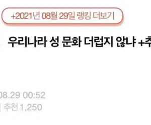 대한민국 성문화가 더럽다는 1인과 댓글