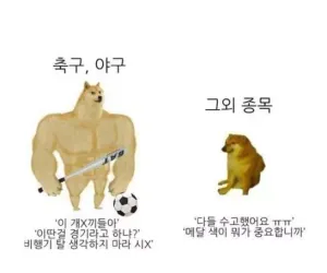 올림픽 종목에 따른 결과 반응