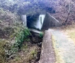 경주의 어느 칼국수집